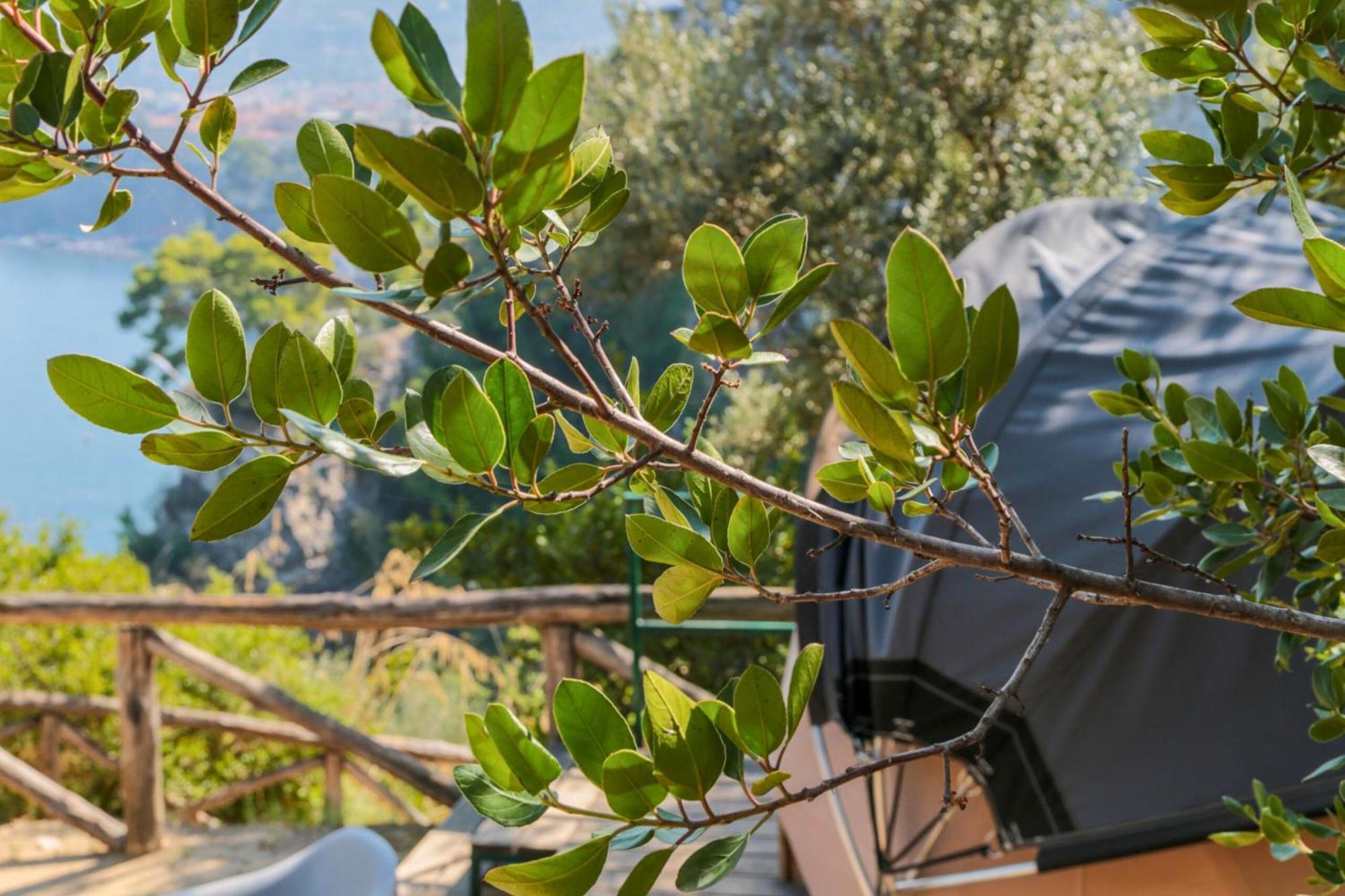 Hostel & Glamping Santa Fortunata Соренто Екстериор снимка
